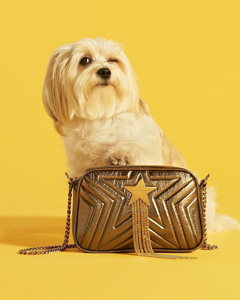 潮品服装+手袋拍摄