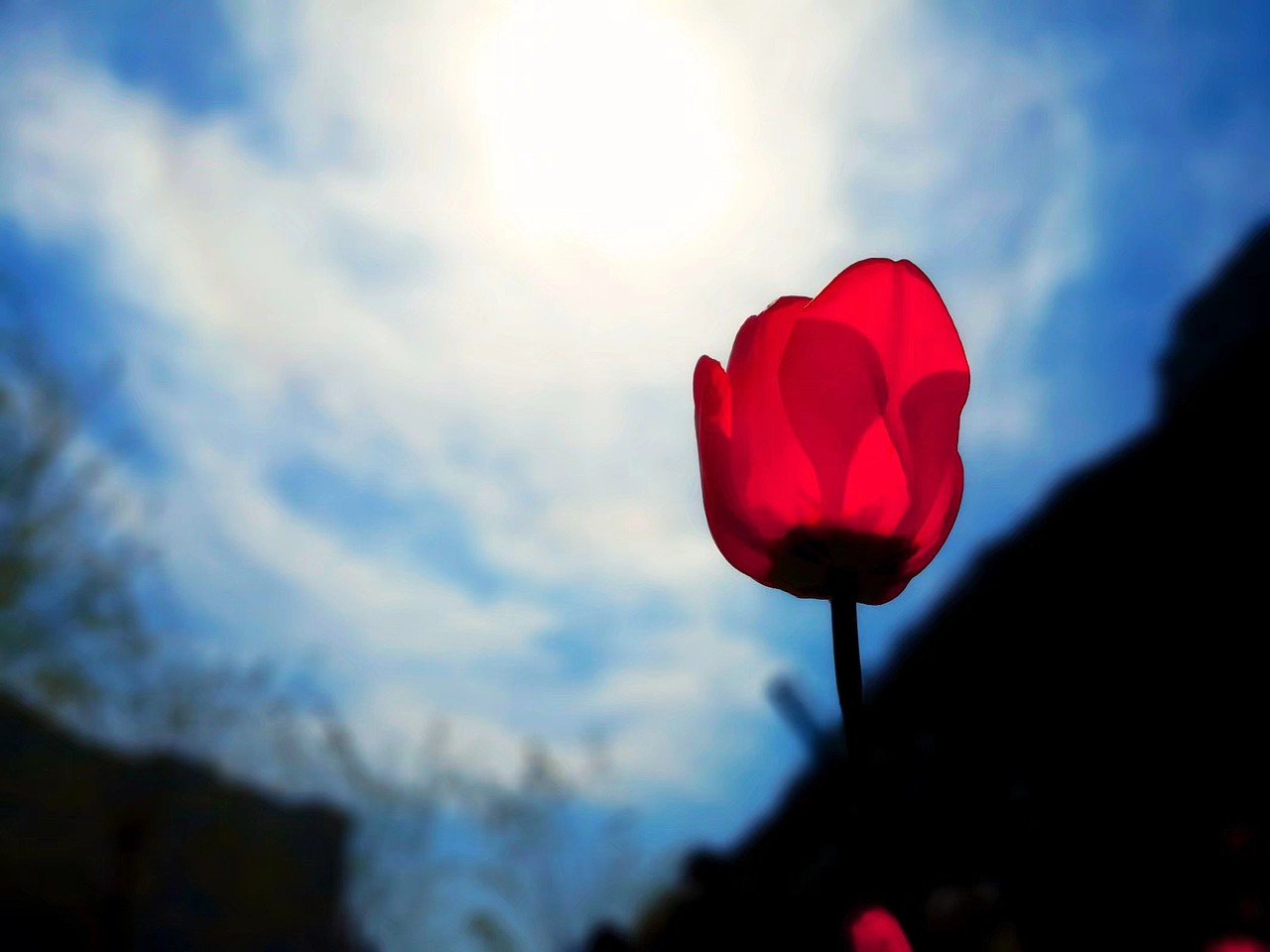 手机摄影（图ZMjE4MzA0MzE2） - 其他摄影 - 站酷设计师z0701原创素材 - 站酷ZCOOL