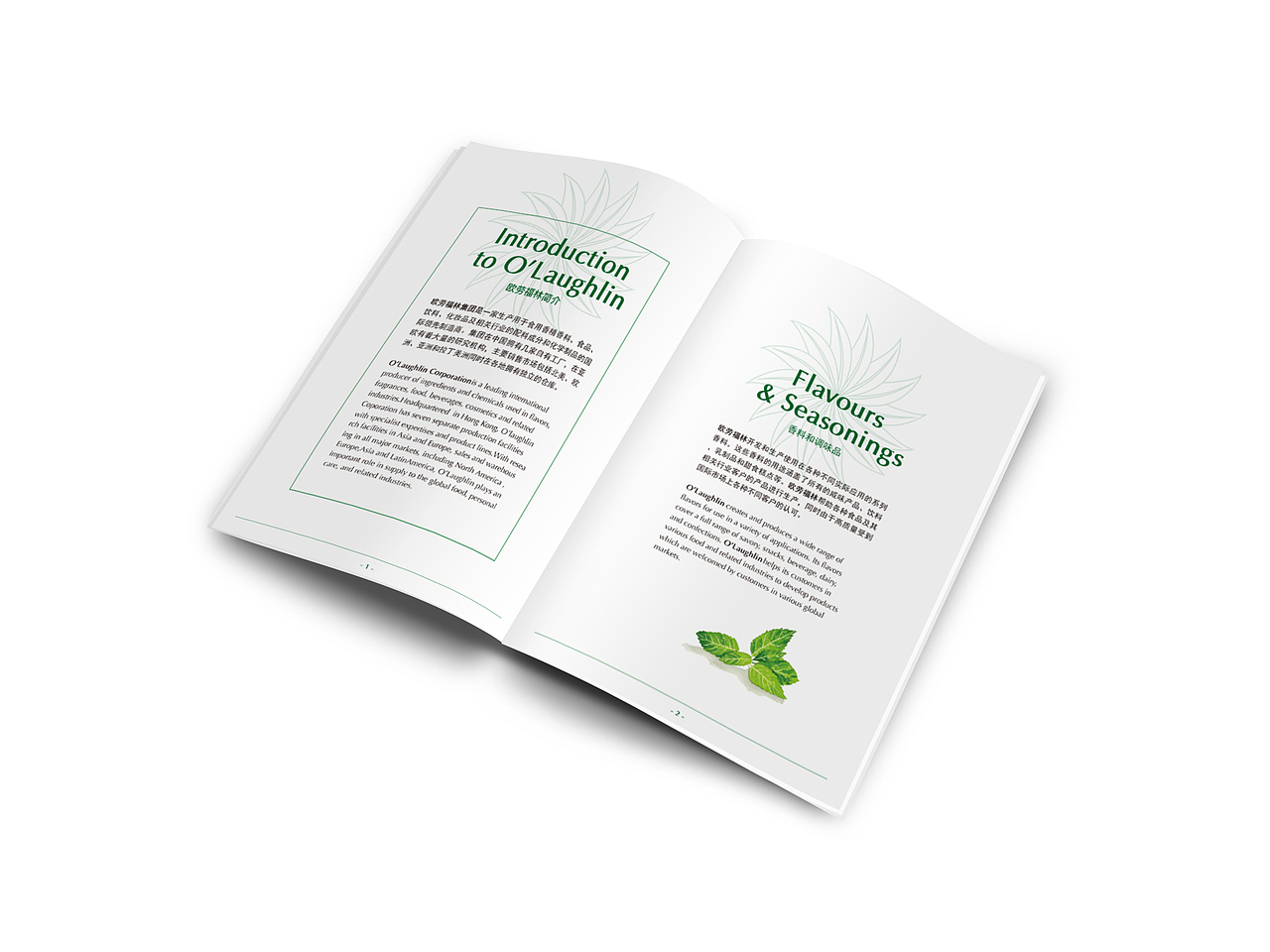 欧劳福林产品宣传手册