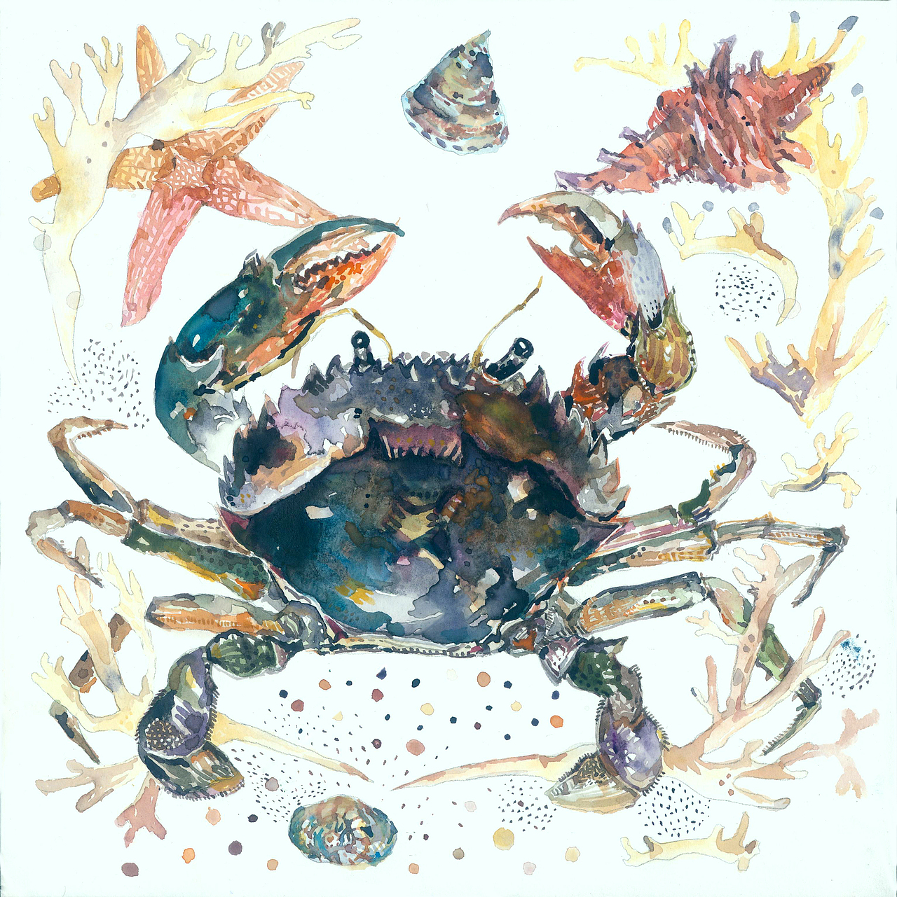 海洋系列（图ZNjgxMDk4MTY=） - 创作习作 - 站酷设计师洲里原创素材 - 站酷ZCOOL