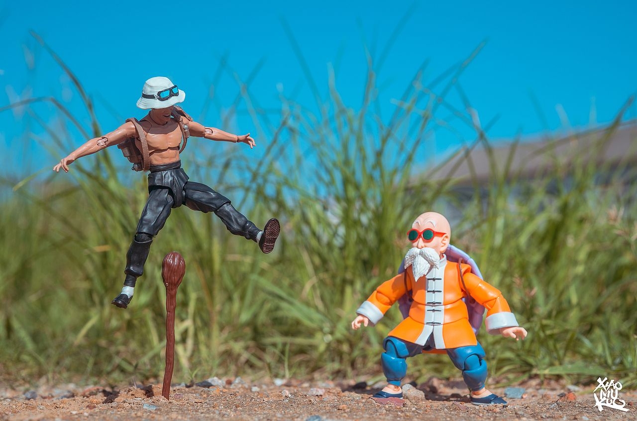 玩具摄影-shf龟仙人（图ZMTMyMTA4OTA0） - 风光摄影 - 站酷设计师玩具人小木原创素材 - 站酷ZCOOL