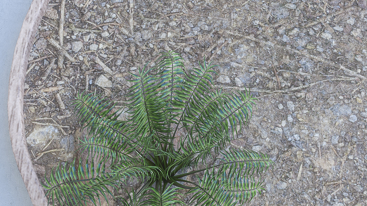 植物灯三维产品动画