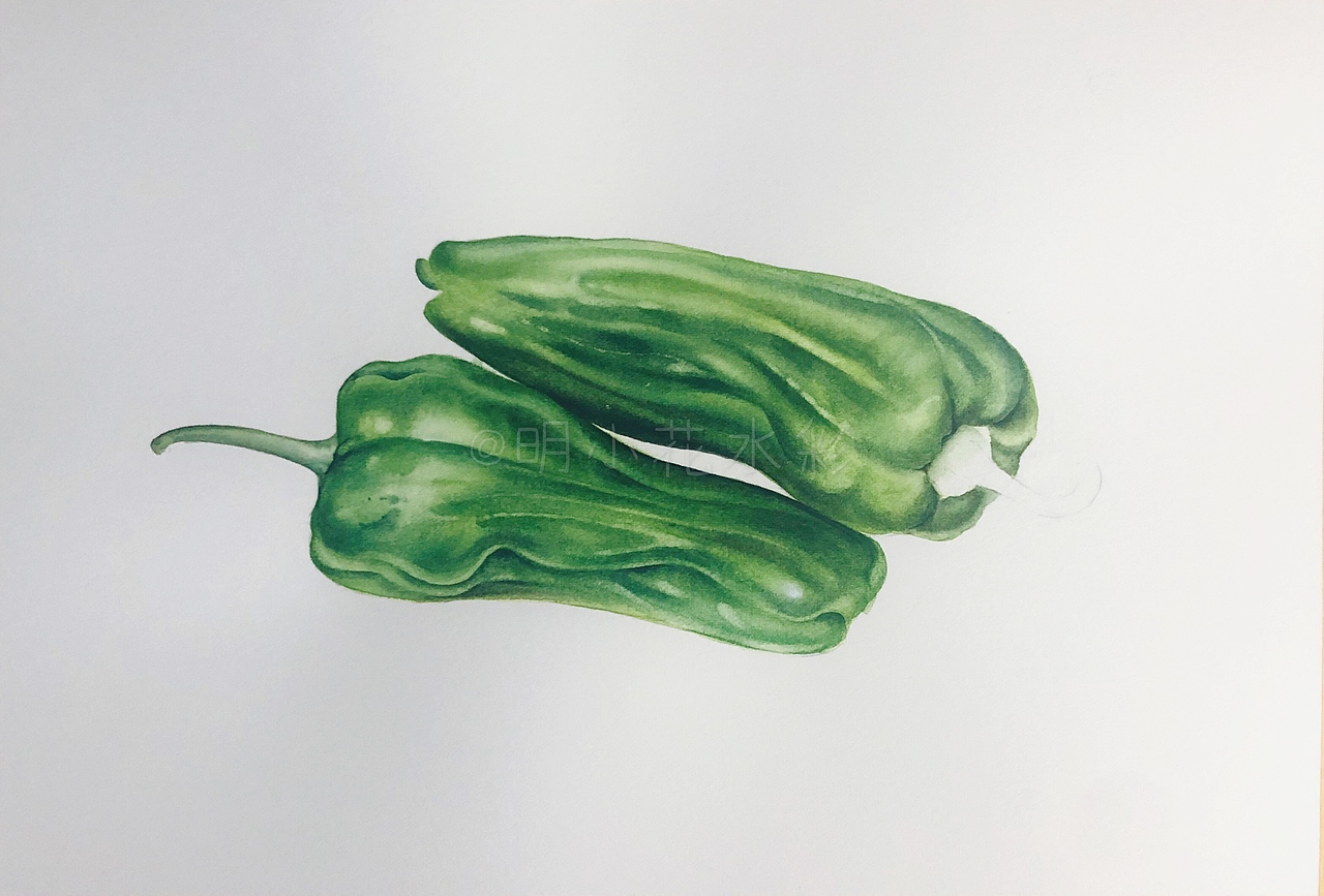水彩果蔬丨是麻椒呀丨附全过程图