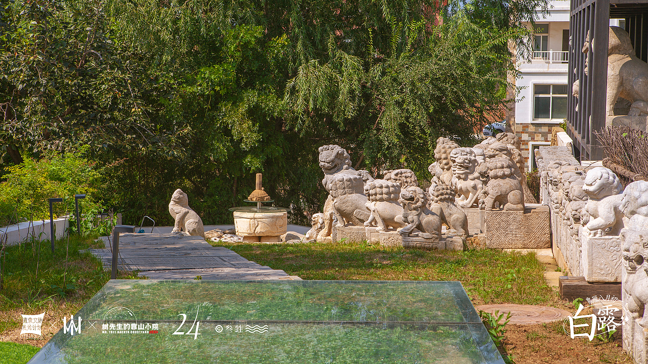 白露 | 人间忽晚，山河已秋。（图ZMjY5NzY1NTg0） - 风光摄影 - 站酷设计师豹四原创素材 - 站酷ZCOOL