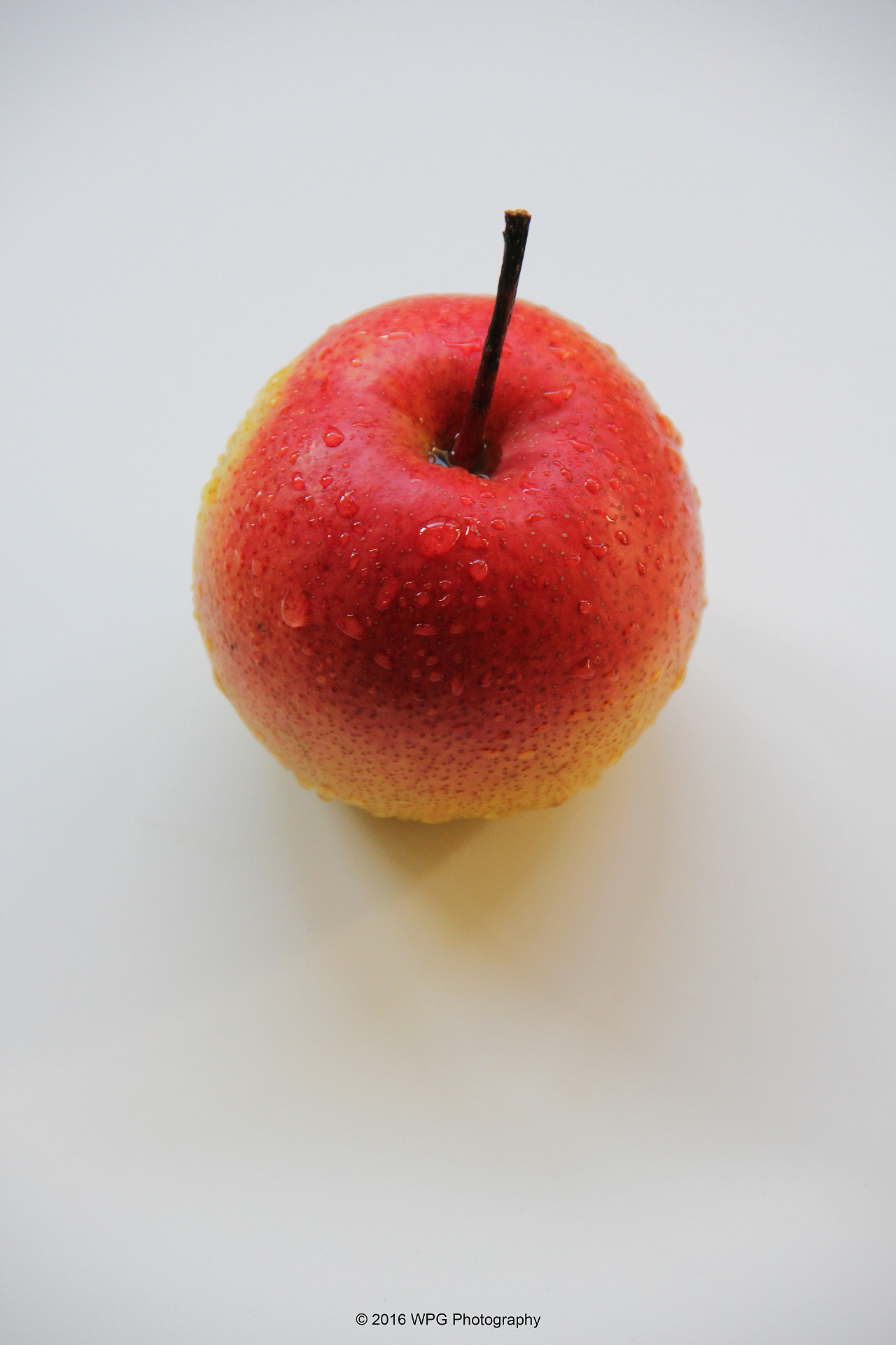 《 渐变色 》|摄影|产品摄影|王珮光 - 原创作品 - 站酷 (zcool)