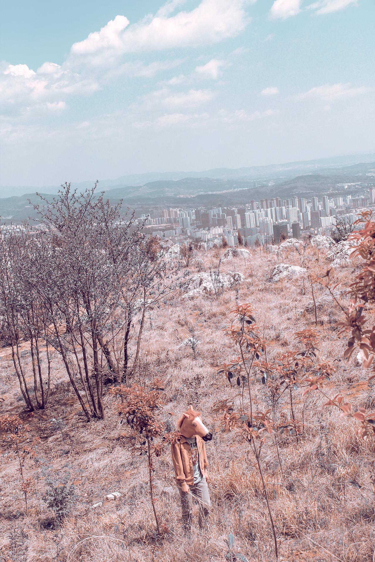 野里 | 姓张的马先生