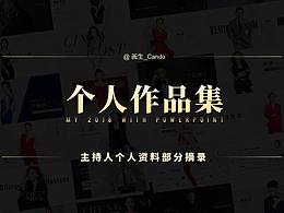 方案