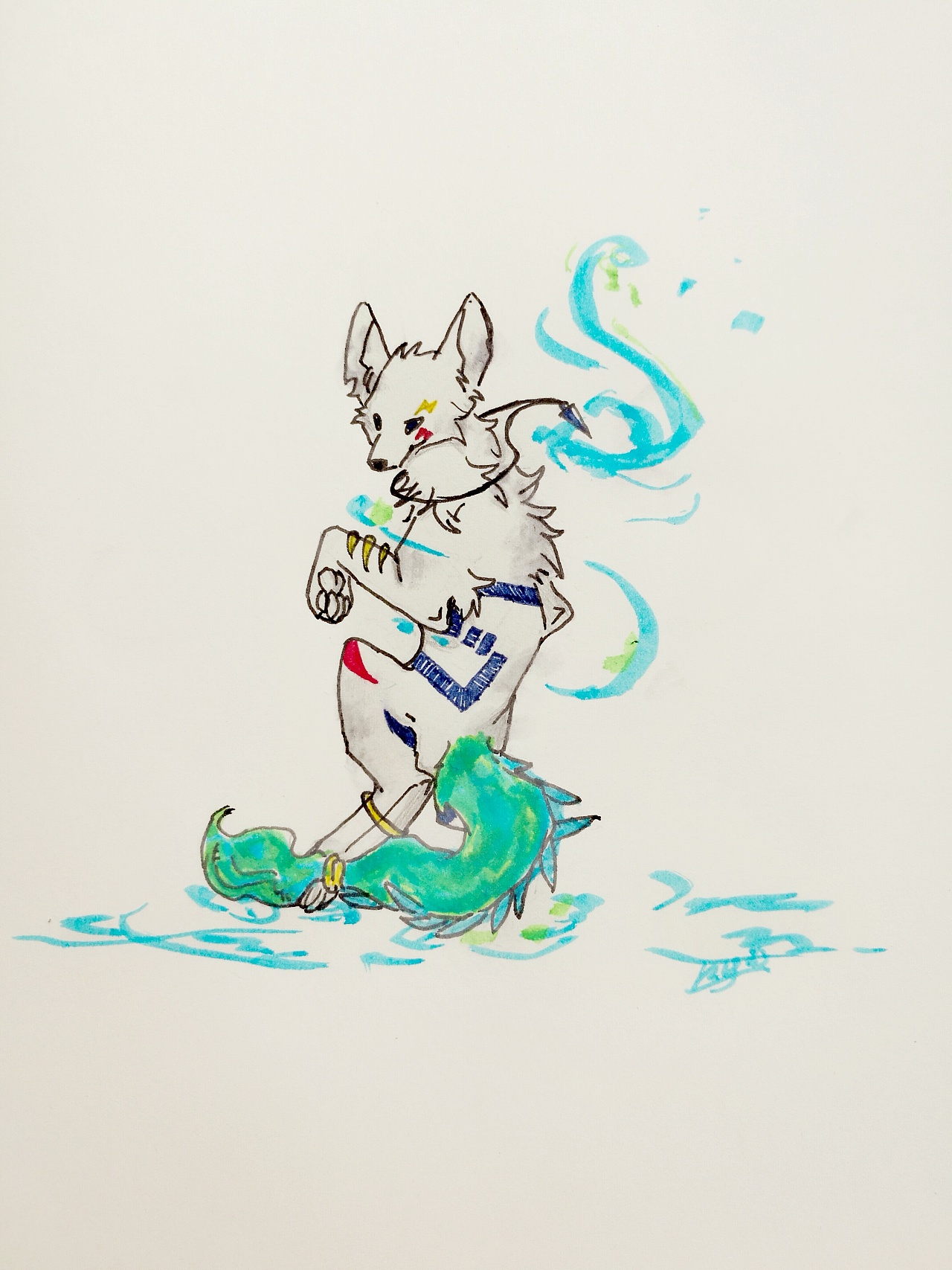 【兽圈】介绍认识