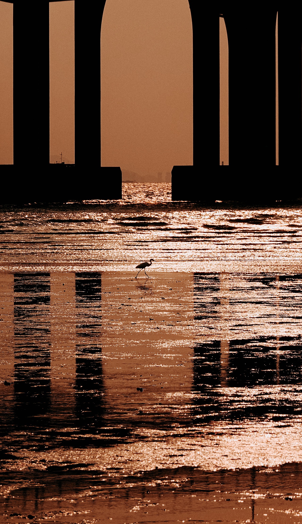 孤傲（图ZMTc2NDMyMDcy） - 人文/纪实摄影 - 站酷设计师拾光朝圣者原创素材 - 站酷ZCOOL