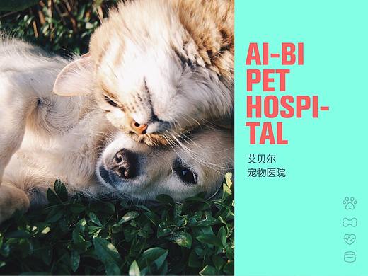 宠物医院导视