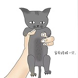 小二狼的头像