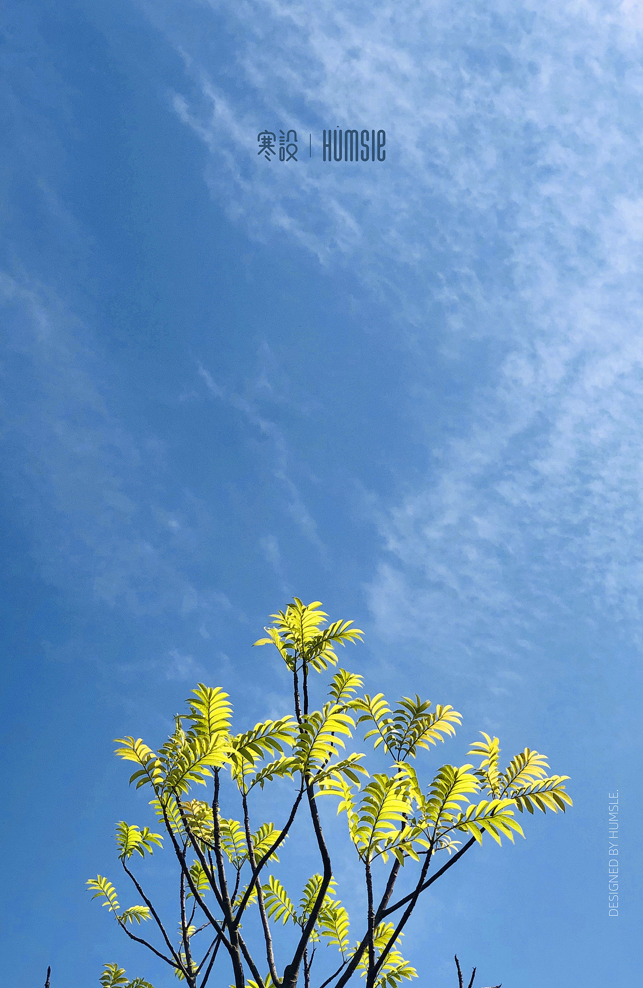 随手拍,走到哪,拍到哪。