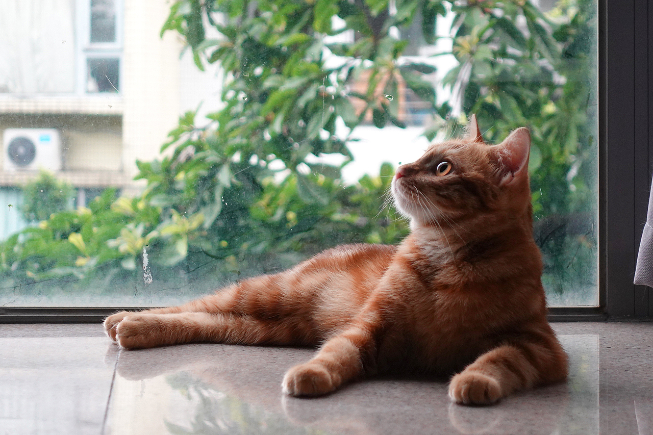 什么都拍,什么都不奇怪