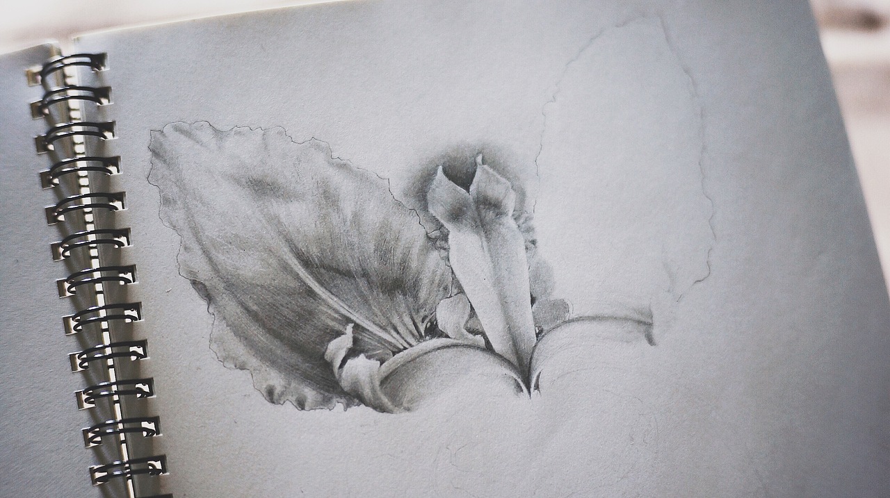 随心画（图ZMzg2NjQ5MzI=） - 绘画 - 站酷设计师seasonjune原创素材 - 站酷ZCOOL