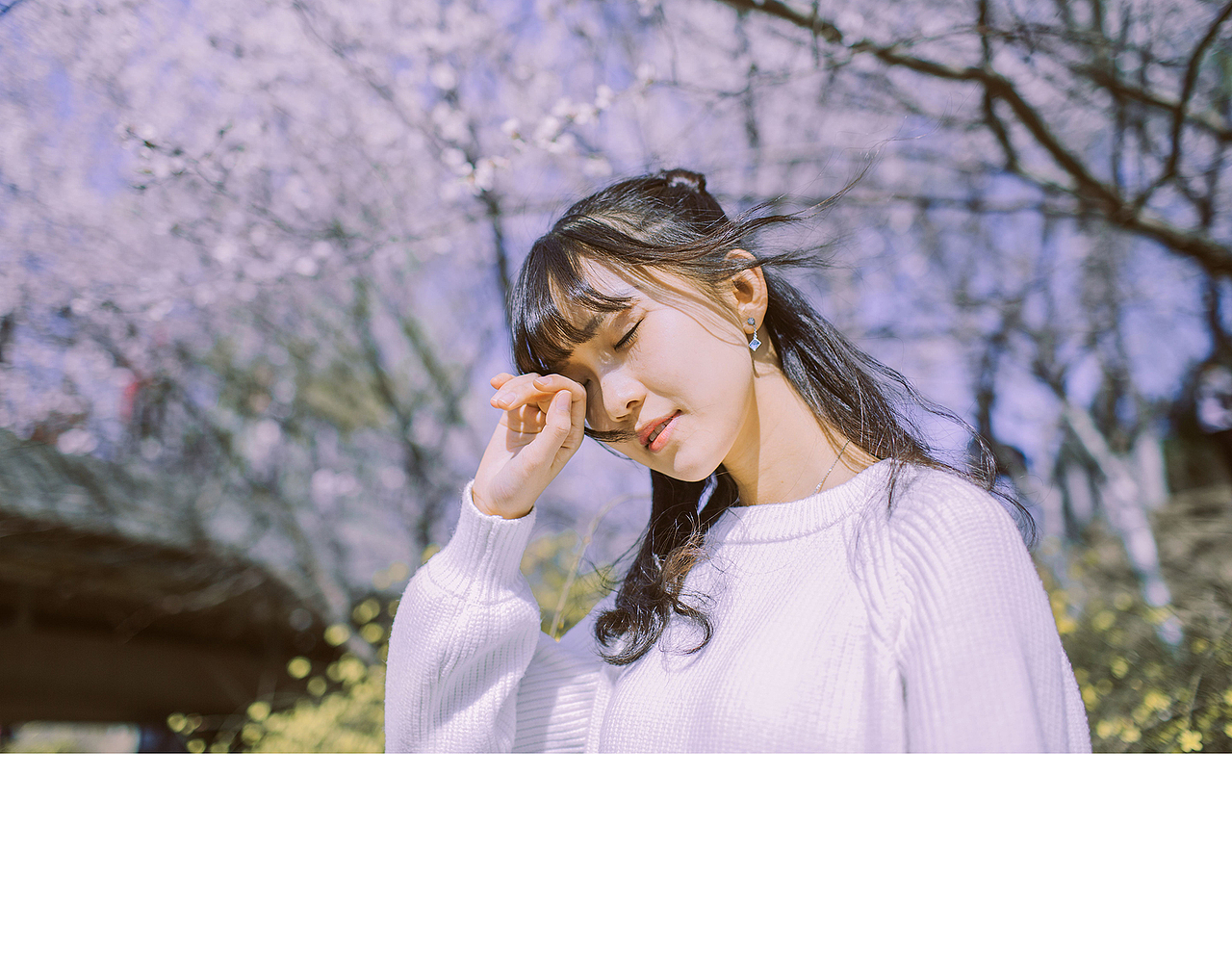 樱花。纪（图ZNDc1MTU2Mjg=） - 人像摄影 - 站酷设计师jefflkc原创素材 - 站酷ZCOOL