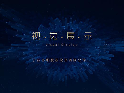 宁波春硕股权投资有限公司LOGO设计视觉展示