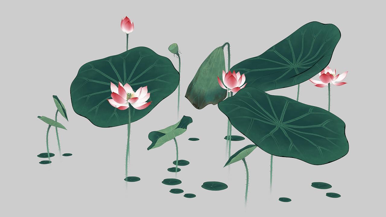 3D中国画工笔荷花（图ZNzAzMjMzMjA=） - 动画/影视 - 站酷设计师中国风动画原创素材 - 站酷ZCOOL