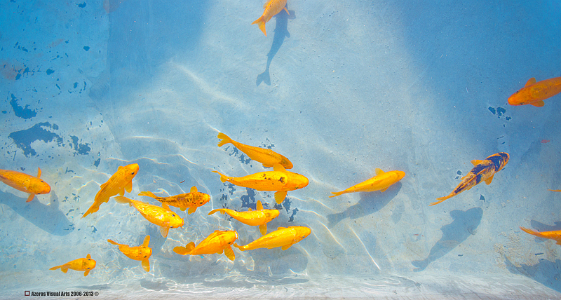 一个人像摄影师2013年的12张风景（图ZMTMzMzUxNjQ=） - 风光摄影 - 站酷设计师海螺壳原创素材 - 站酷ZCOOL