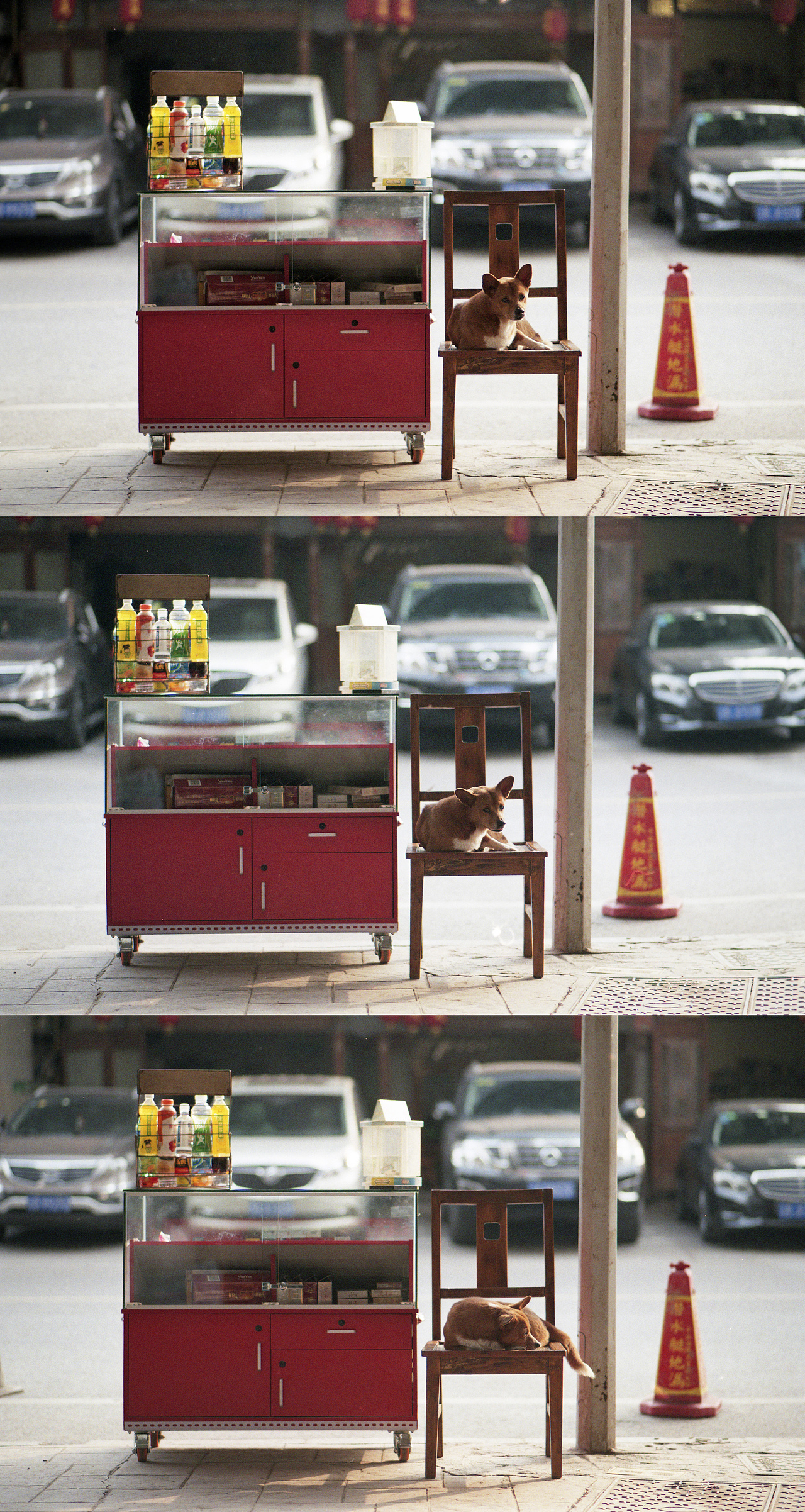 重庆日常（胶片）（图ZMTM2MzQxNDg4） - 人文/纪实摄影 - 站酷设计师苏Prise_原创素材 - 站酷ZCOOL