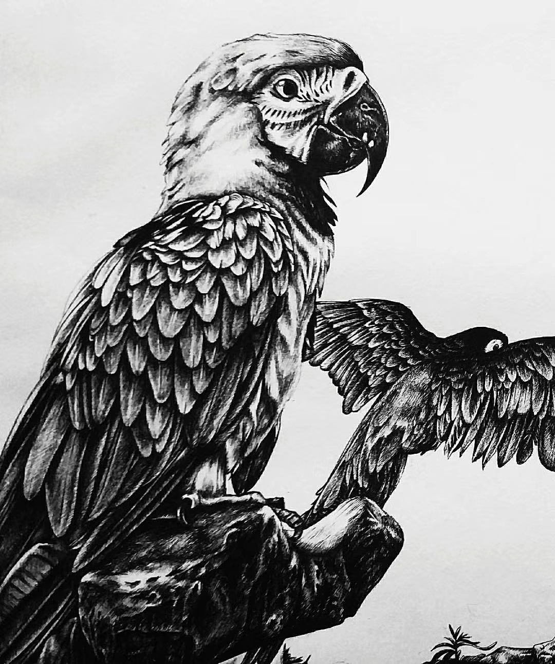 黑水笔插画-序章（图ZMTUyMDMxNzU2） - 创作习作 - 站酷设计师梦奥M和和原创素材 - 站酷ZCOOL