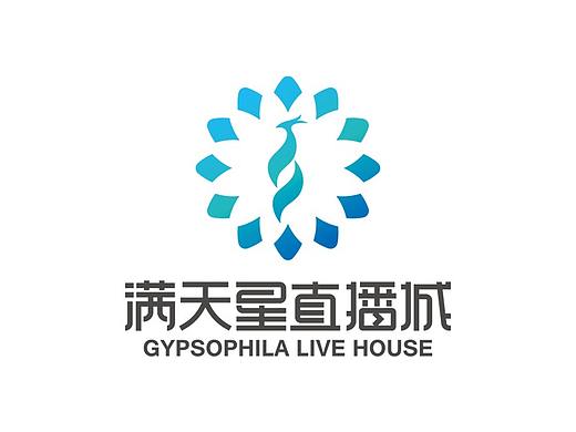 满天星直播城品牌形象设计