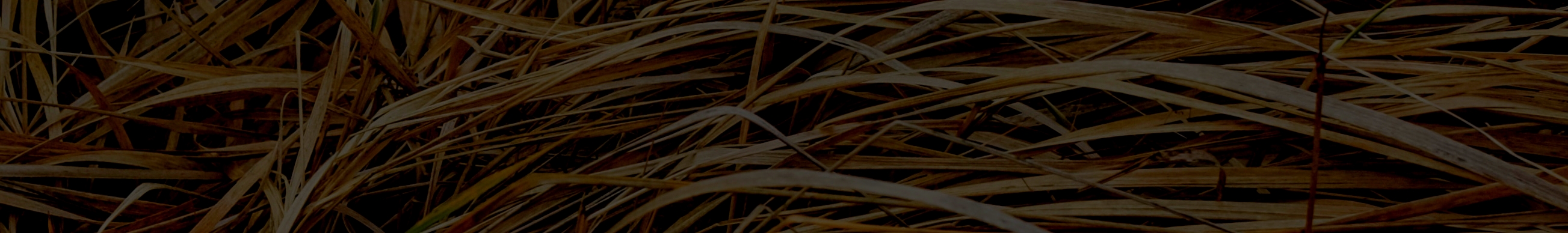 余嘉嘉嘉琪的个人主页（封面预览） - 主页封面设置 - 站酷设计师余嘉嘉嘉琪原创素材 - 站酷ZCOOL