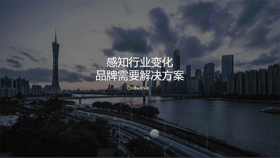 Blackfish 官网 - 2020(图ZMjE0Mzk4ODYw) - 企业官网 - 站酷设计师慕歌原创素材 - 站酷ZCOOL