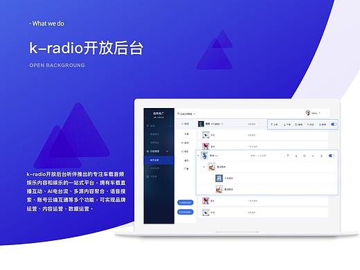 听伴（原考拉FM）开放运营后台