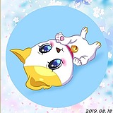 白色鸢尾花的头像