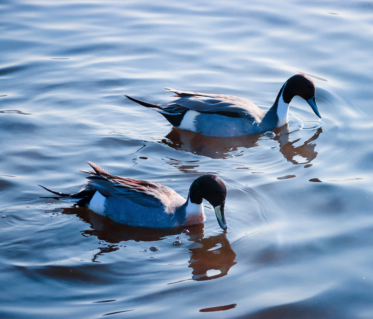 追逐光,直到成为光