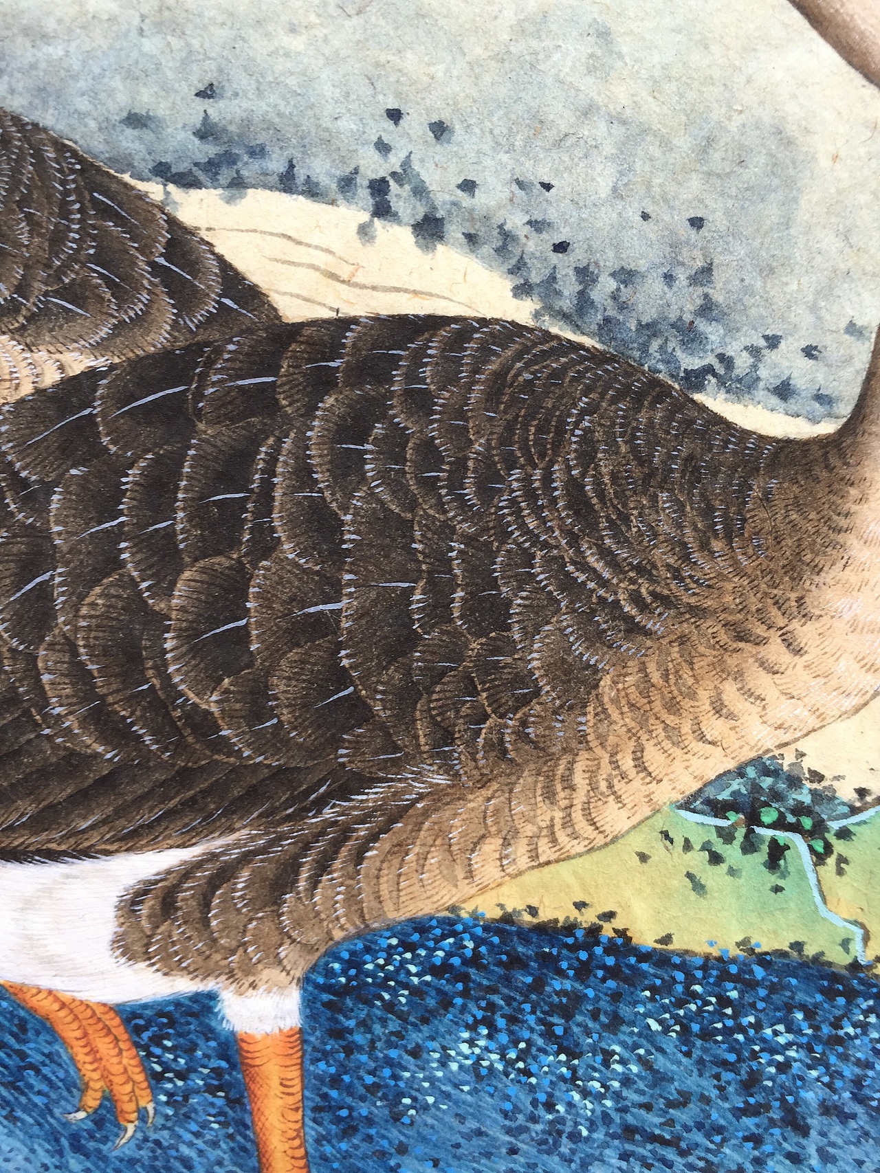 藏君绘《十钗声》工笔重彩花鸟