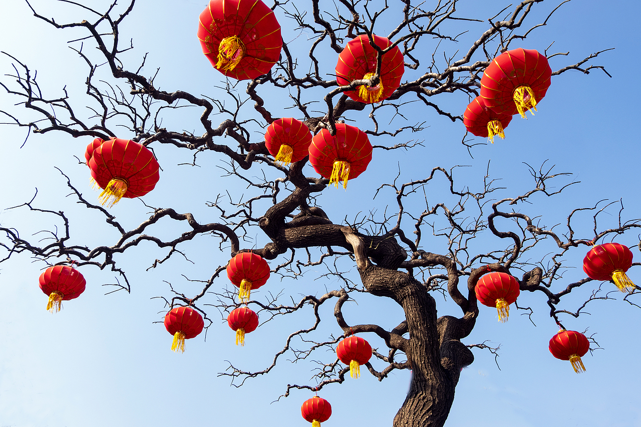 红灯笼树挂过年吉祥喜庆欢传统节日蓝天
