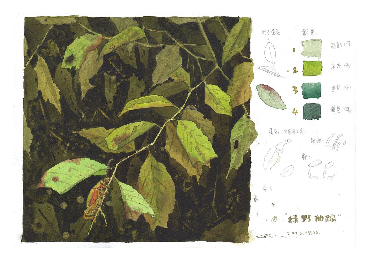 『画本系列』-我的第45本画本-绿色狂想曲主题习作（图ZMzUyNDk3MzQ4） - 绘画 - 站酷设计师画画的陈一丘原创素材 - 站酷ZCOOL