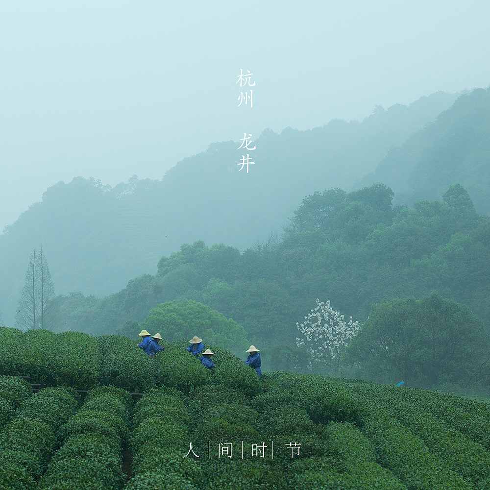 清明
杭州 龙井村 <br>穿戴整齐的茶农,在茶园里忙着采摘第一批新茶。<br>每年清明谷雨前后,<br>是龙井村茶农一年中最忙的时节。<br>龙井村四周群山叠翠,<br>云雾环绕,<br>为茶树生长提供了得天独厚的自然条件。<br>龙井茶已有一千二百余年历史,<br>被誉为『中国第一茶』,<br>也实在是得益于这山泉雨露之灵气。<br>