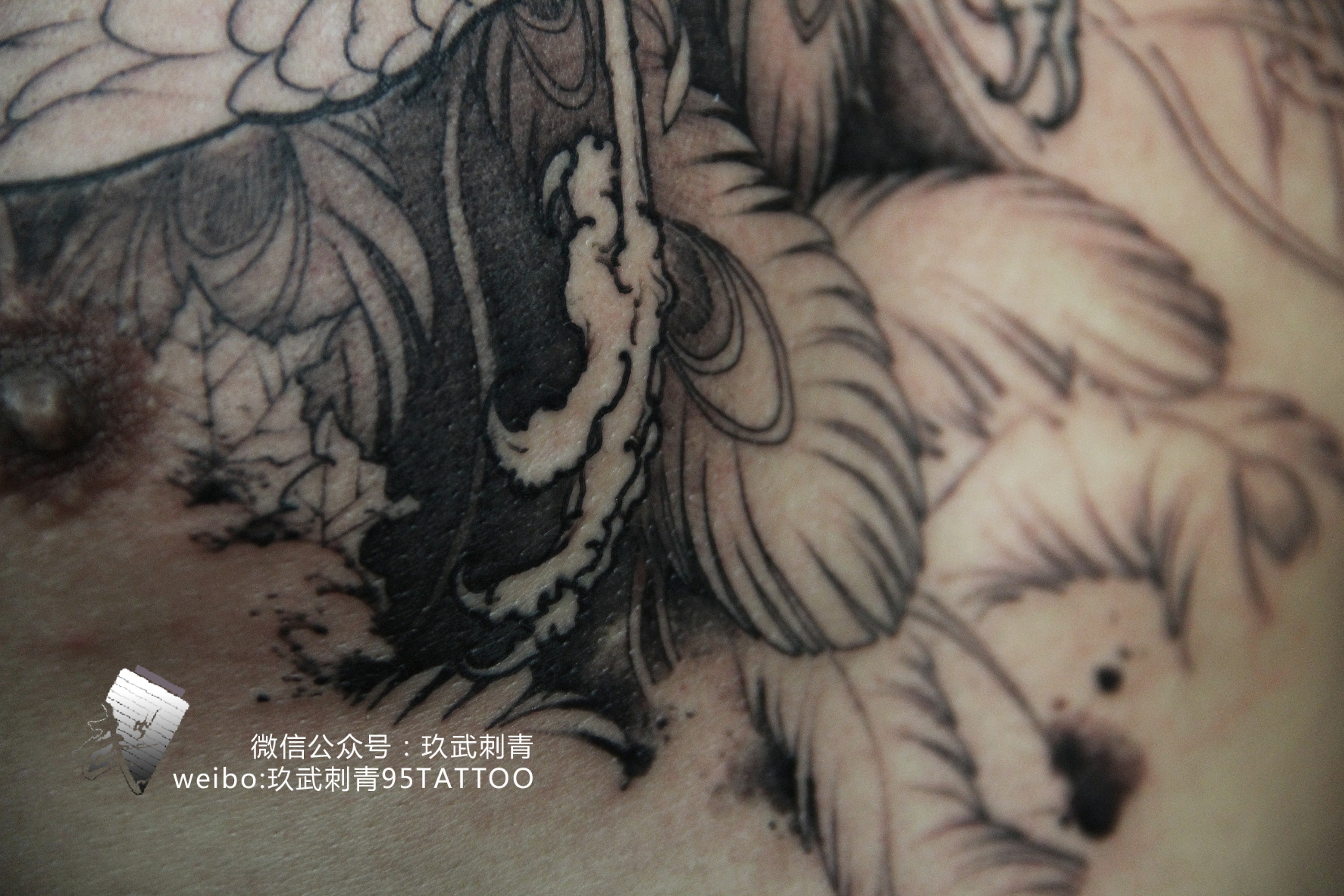 凤凰——花胸作品 第一次|手工艺|其他手工艺|玖武 - 原创作品 - 站酷