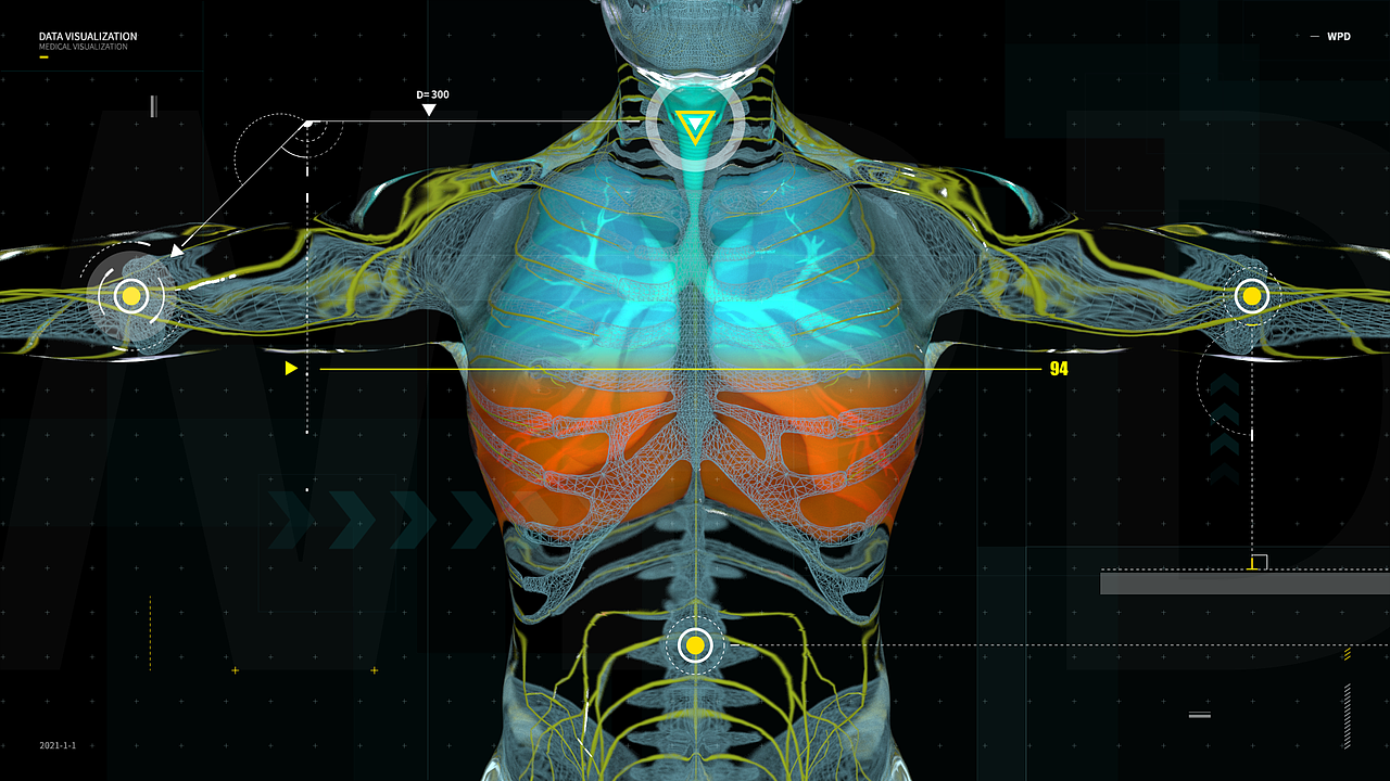 三维人体医疗可视化 hud fui data