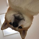 block__的头像