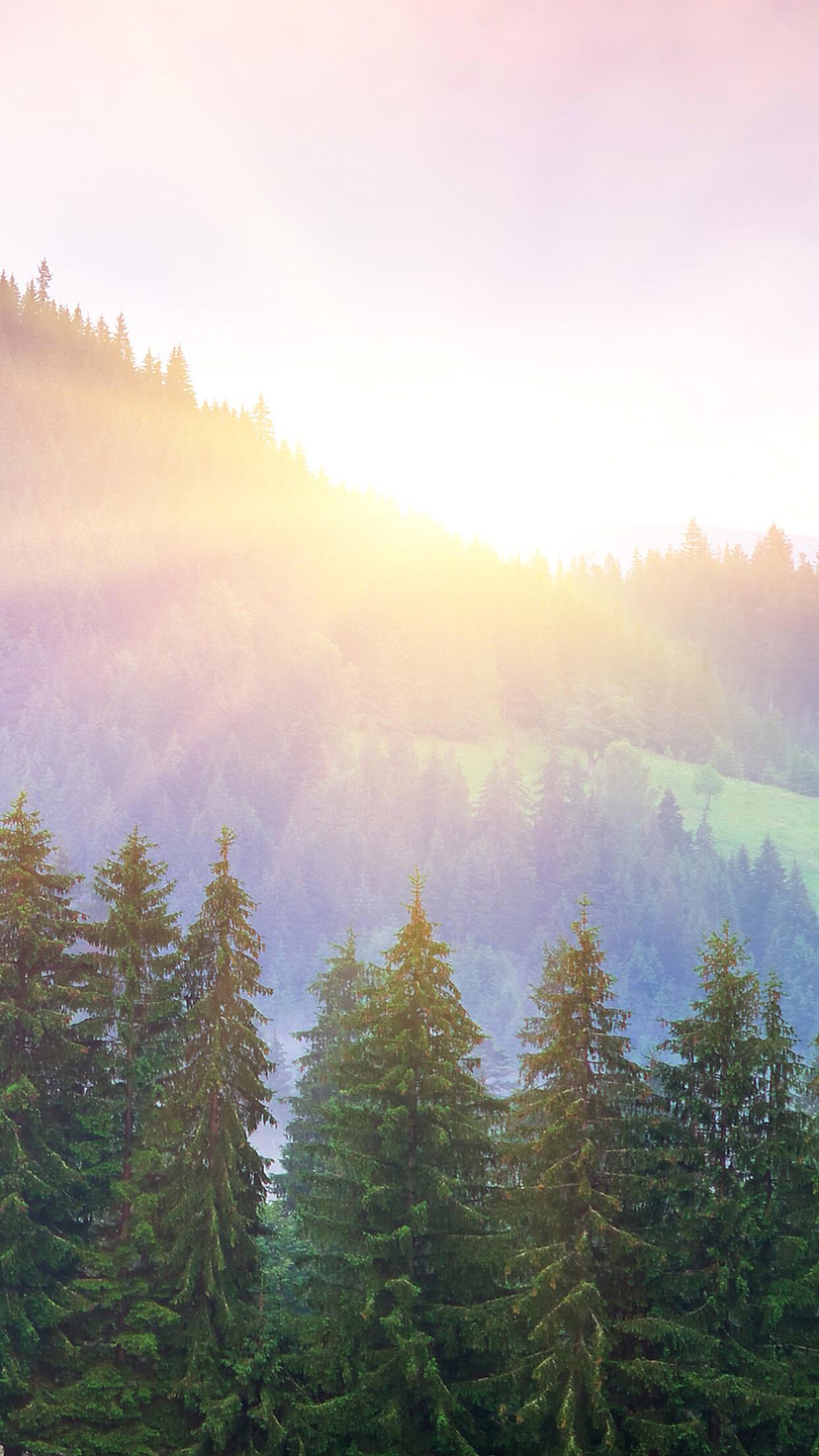 阳光（图ZMzE2Njk2ODQ0） - 风光摄影 - 站酷设计师景致唯美原创素材 - 站酷ZCOOL