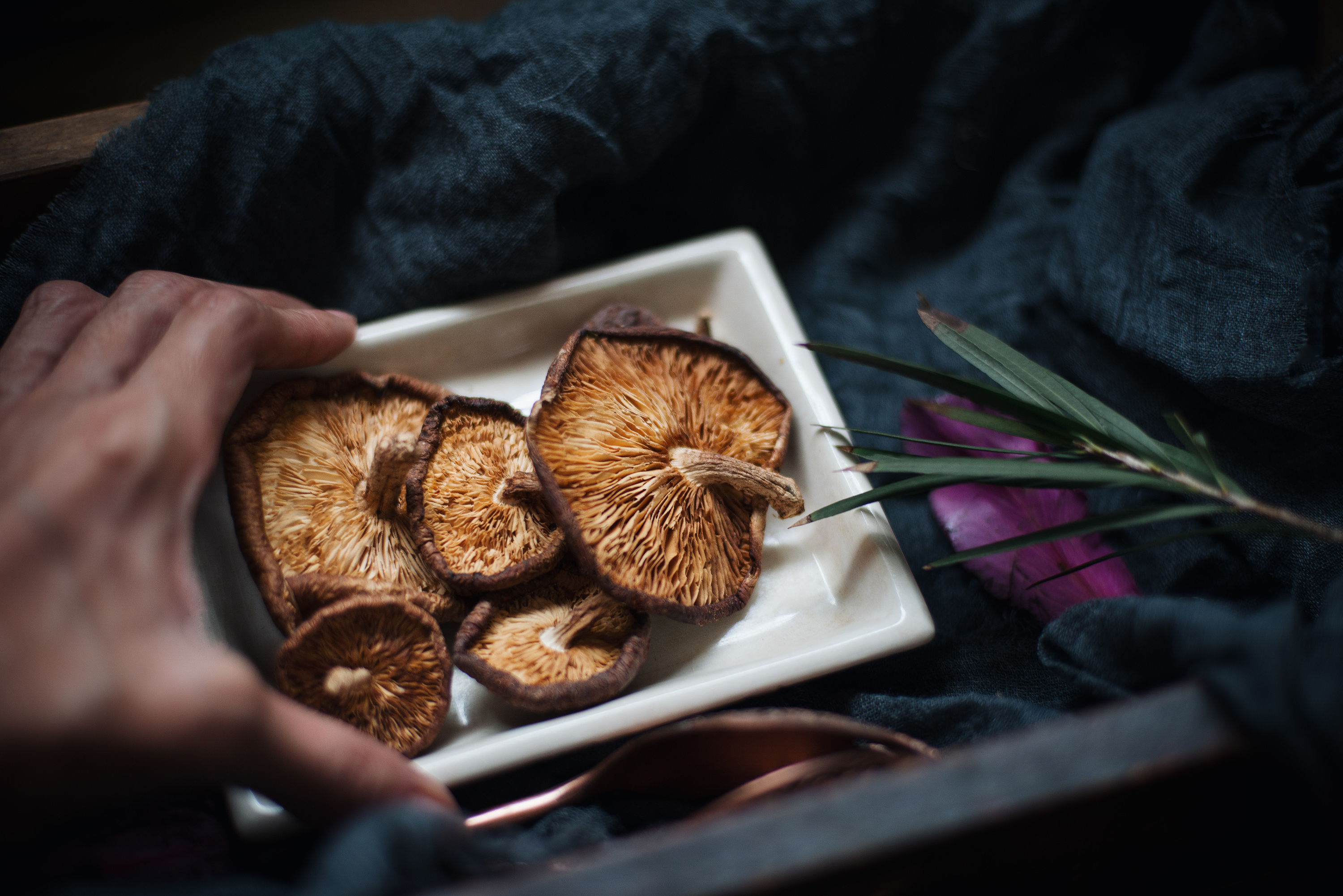 美食拍摄 | 野生香菇|摄影|产品摄影|梵光艺术 - 原创作品 - 站酷