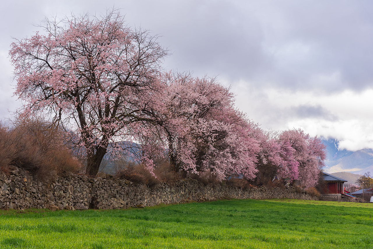 桃花沟（图ZMTU5NzI4NDEy） - 风光摄影 - 站酷设计师摄影师雪山飞兔原创素材 - 站酷ZCOOL