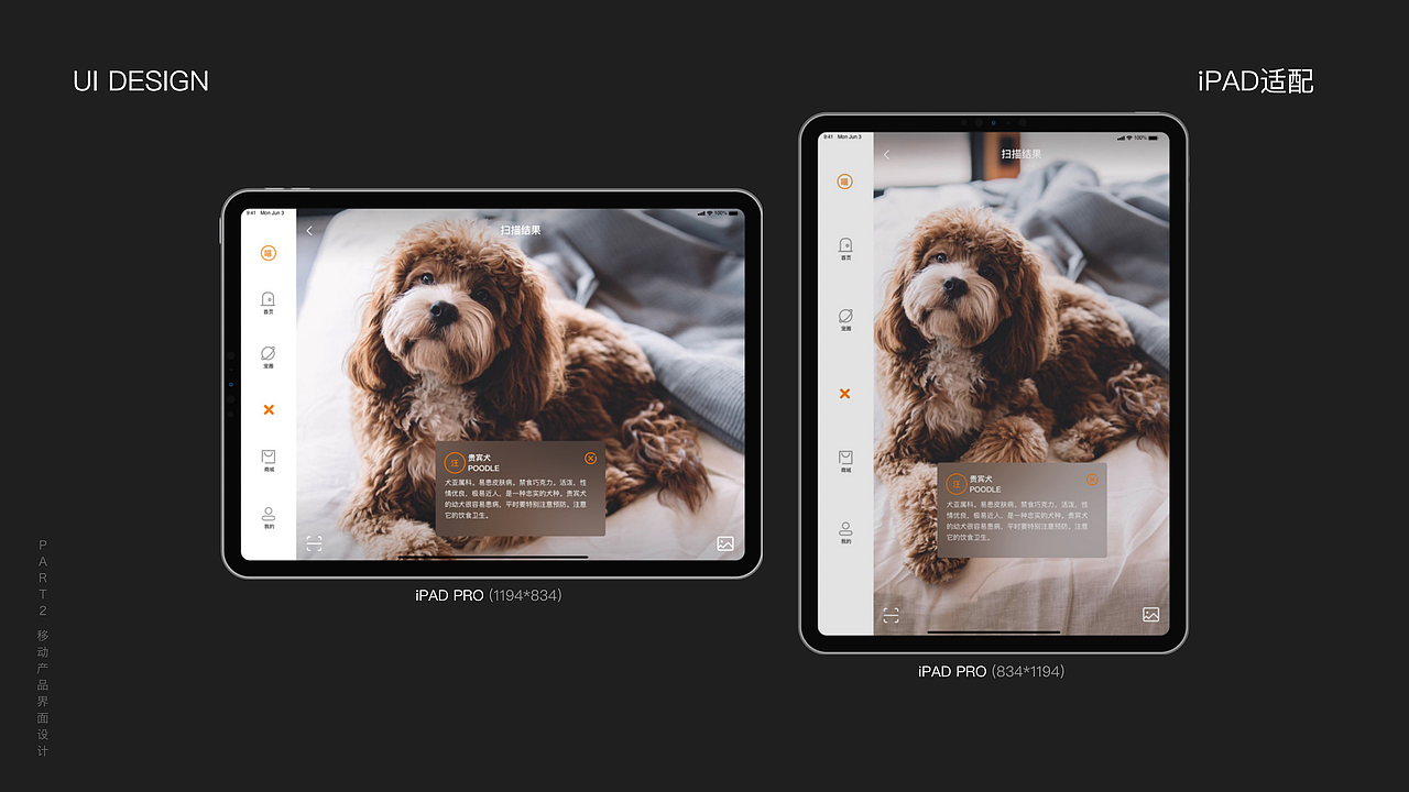 2021个人视觉设计作品集