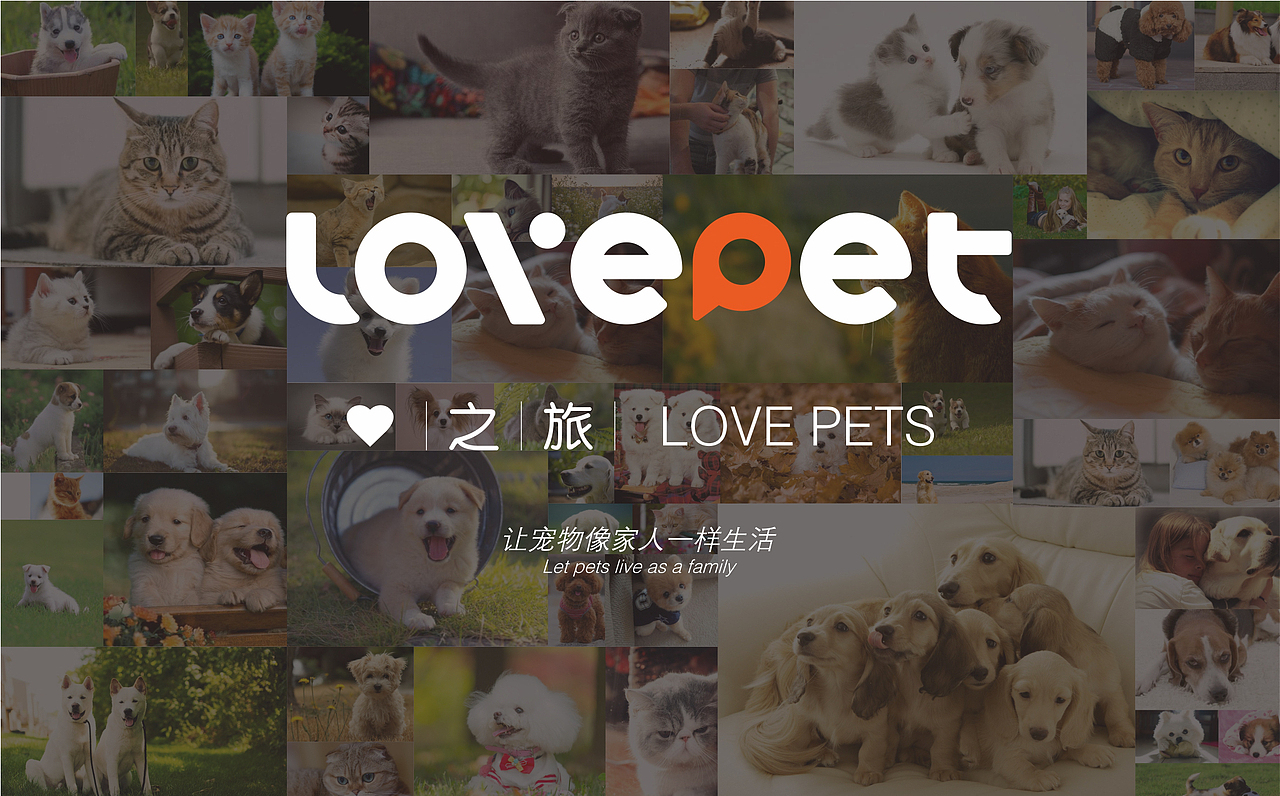 宠物品牌升级（图ZMTIxMTczNTEy） - 品牌 - 站酷设计师boysmr原创素材 - 站酷ZCOOL