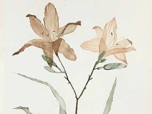 水彩花（個(gè)人主頁(yè)-ZMzE0OTMwMDA=） - 繪畫(huà) - 站酷設(shè)計(jì)師子木丿原創(chuàng)素材 - 站酷ZCOOL