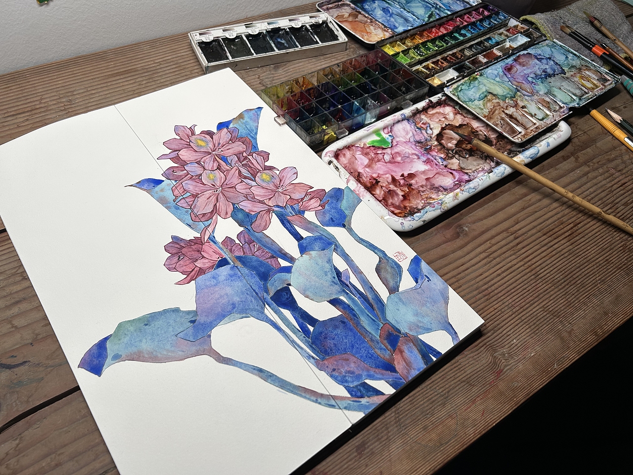 水彩花卉|水葫芦