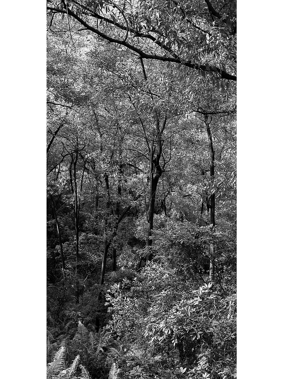 风光《侘寂》| Photo 2021 @太阳华华（图ZMjQ0NDA3ODA4） - 风光摄影 - 站酷设计师太阳华华原创素材 - 站酷ZCOOL