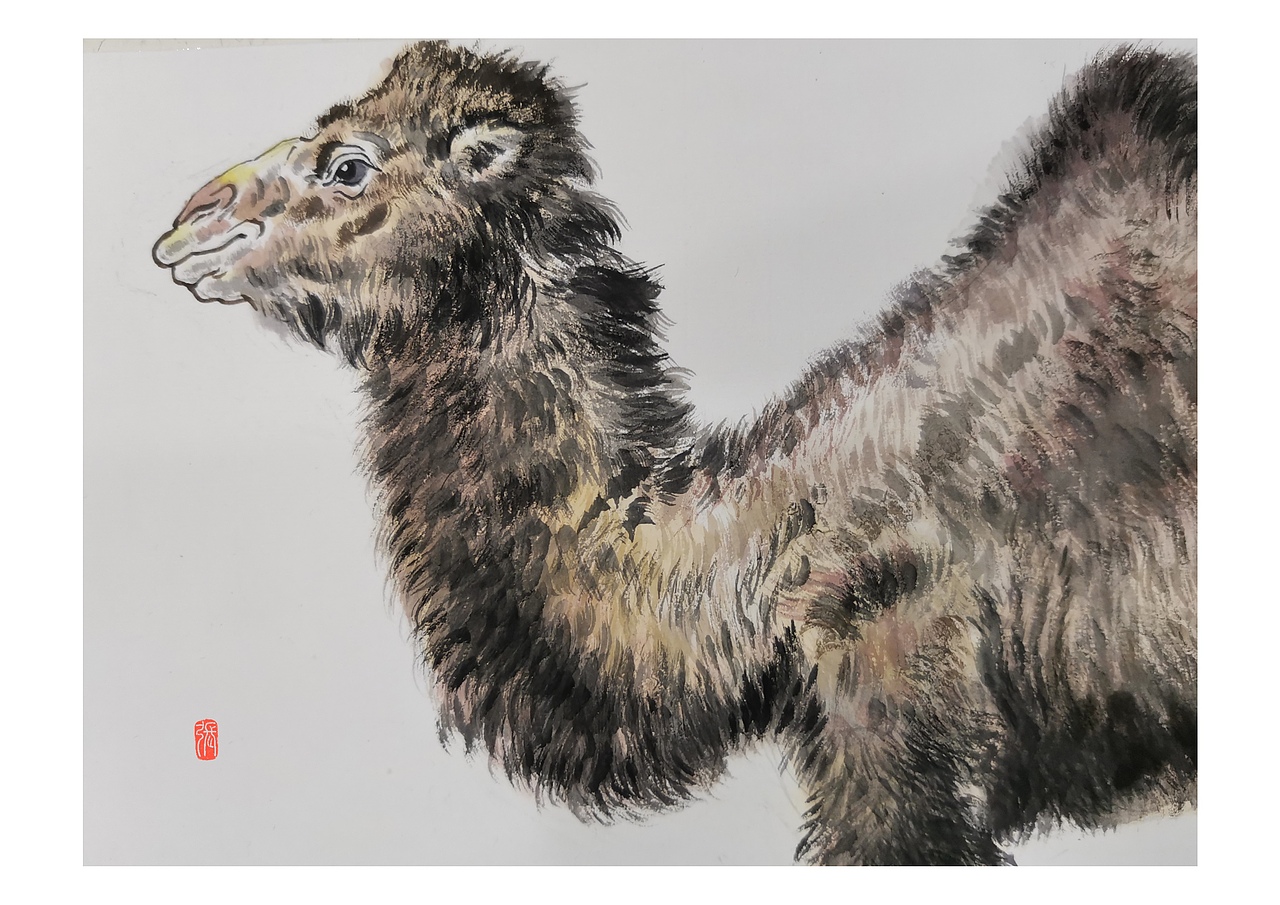 毛毛用水墨画,控制水份和颜色真的很重要,喜欢骆驼憨厚的个性,吃苦