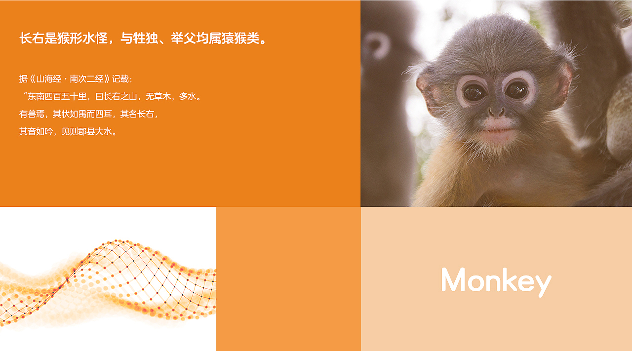 长右科技logo动效及VI-木加火品牌设计出品（图ZMjAwNzQwMDA4） - 包装 - 站酷设计师木加火品牌设计原创素材 - 站酷ZCOOL