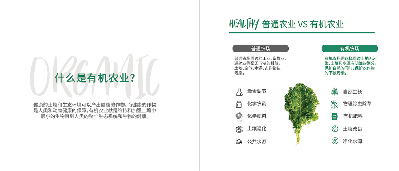 农场画册（图ZMTcyNjc3MzEy） - 书籍/画册 - 站酷设计师Amber与盐原创素材 - 站酷ZCOOL
