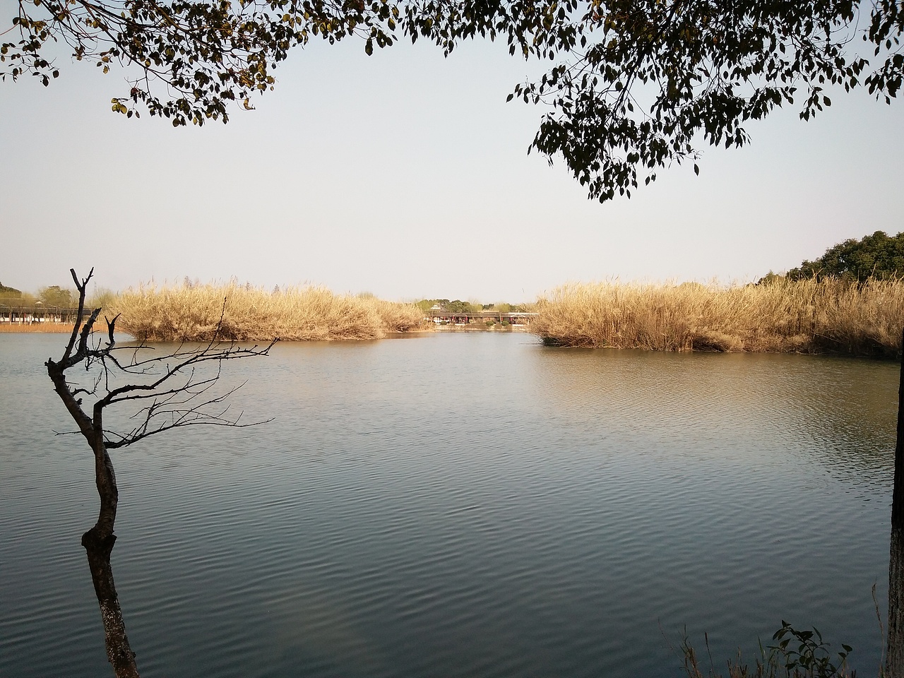 沙家浜踏春出游