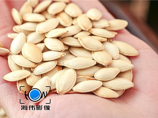 南瓜子拍摄